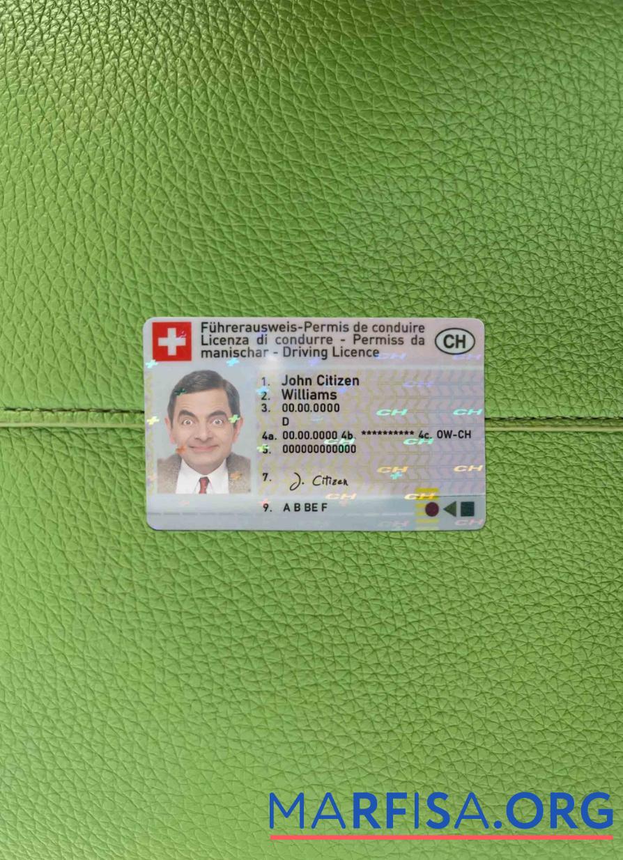 Realistic Switzerland DL photolook template